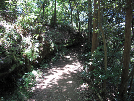 20150715hike (63)
